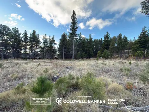 Terreno en Venta en Dina Huapi, Pilcaniyeu