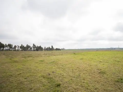 Centro Operativo Logístico con Vivienda - 9ha-