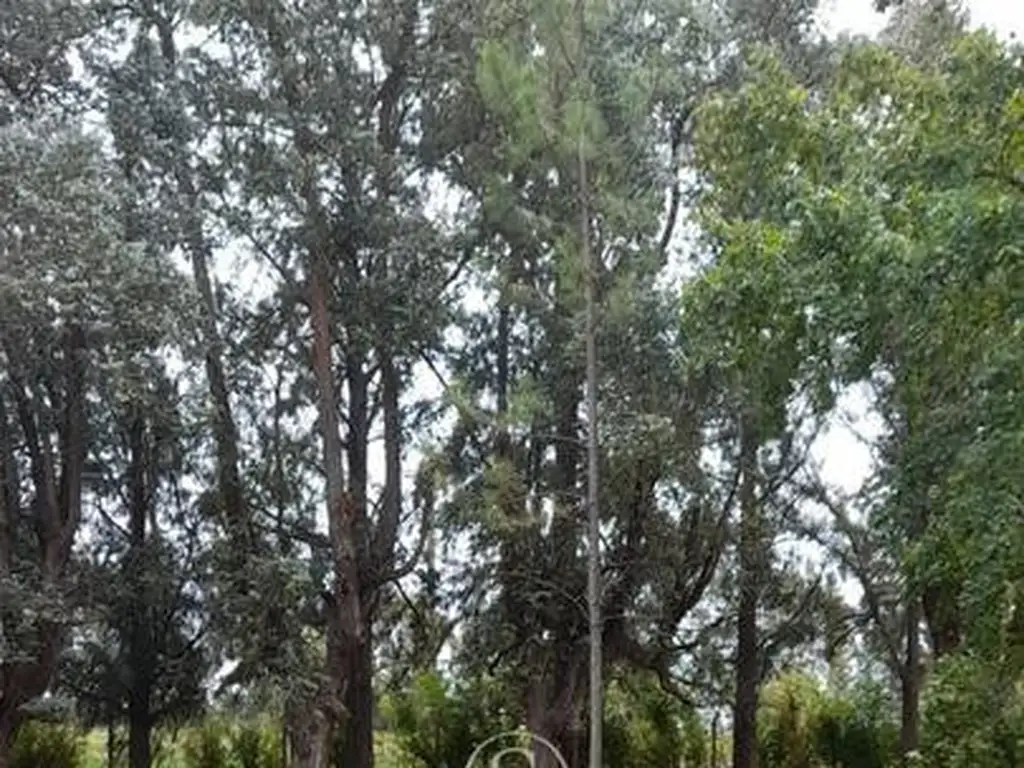 Lote en Venta en Barrio El Cardal 2, Campana - Foto 22