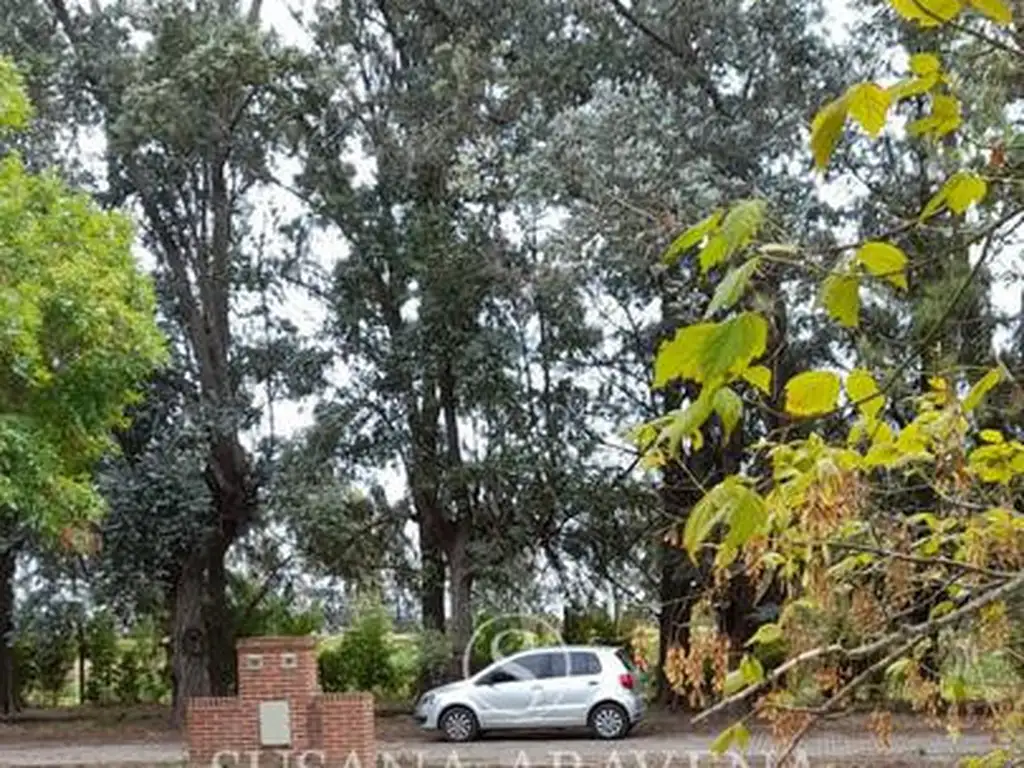 Lote en Venta en Barrio El Cardal 2, Campana - Foto 21