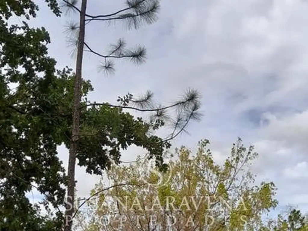 Lote en Venta en Barrio El Cardal 2, Campana - Foto 20