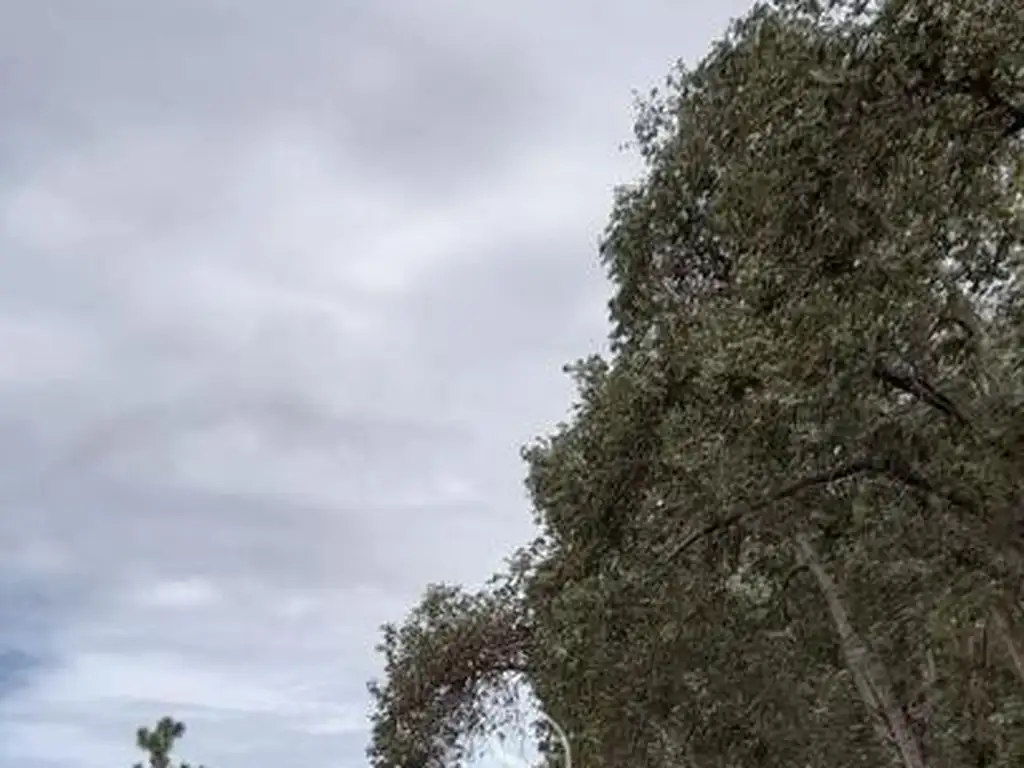 Lote en Venta en Barrio El Cardal 2, Campana - Foto 14