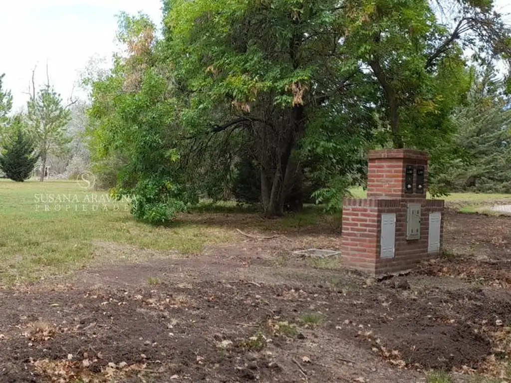 Terreno en Venta en El Cardal 2