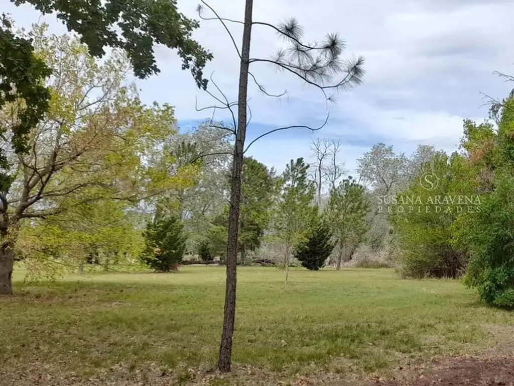 Terreno en El Cardal 2