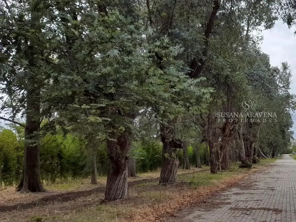 Terreno - 1.100  m² Total