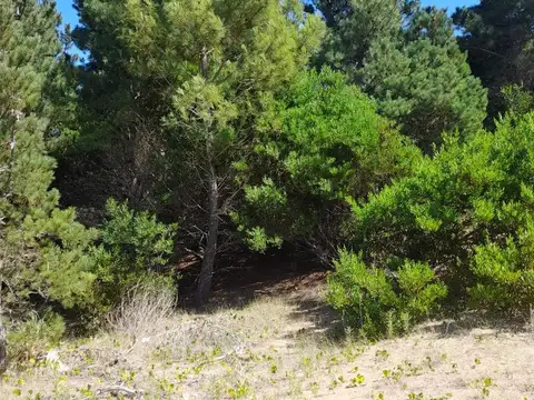 Terreno en Venta 40  mts Fondo