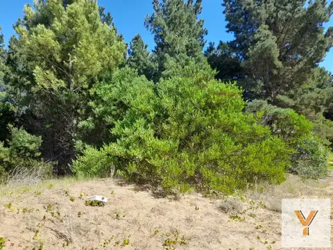 Terreno en Venta 25  mts Frente