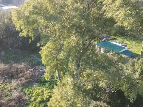 Alvear y Patricias Argentinas