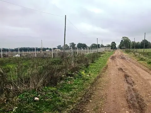 hernandez