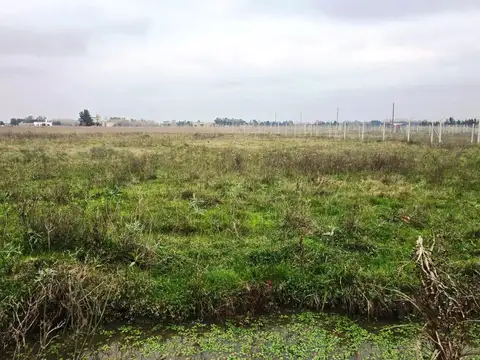VENTA DE 1.2 HECTAREAS EN CAÑUELAS
