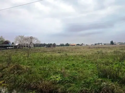 hernandez