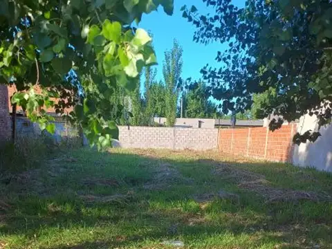 El Virapita 4364