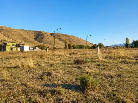 LAS MARTITAS