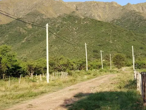 Viva en Tierra Nativa. lugar serrano Cortaderas San Luis