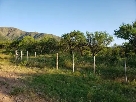 Viva en Tierra Nativa. lugar serrano Cortaderas San Luis