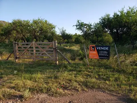 Consultar dirección