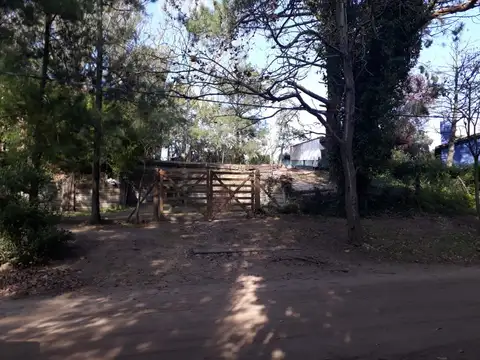 Avenida 6 casi Paseo 101