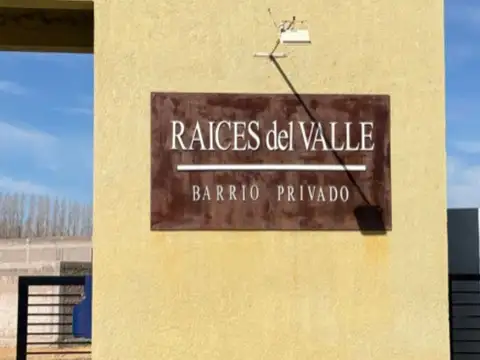 VENTA DE LOTE EN VALLE DE UCO, EXCELENTE INVERSIÓN