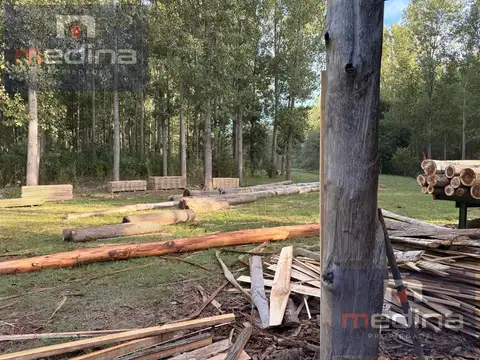 Venta de Chacra/Aserradero en Isla en Campana
