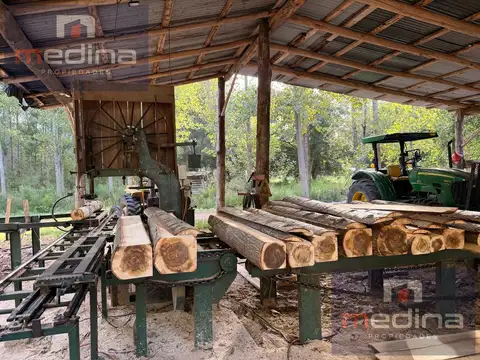 Venta de Chacra/Aserradero en Isla en Campana