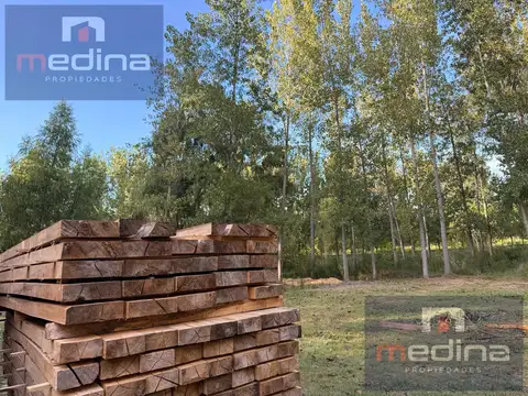 Venta de Chacra/Aserradero en Isla en Campana