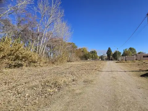 Terreno en Venta en Plottier, USD 16.000