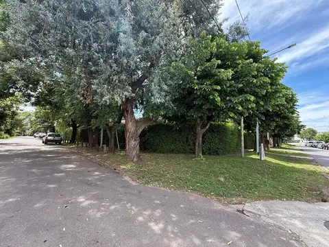 Talar Sur - Uruguay 100