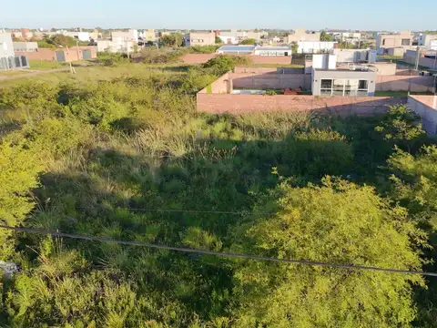 Consultar dirección