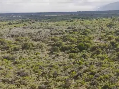 4.18 Hectáreas en Villa Larca SL