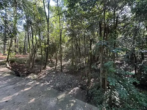 Ruta 5 km 43