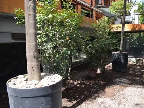 Oficina en Venta 2025 años