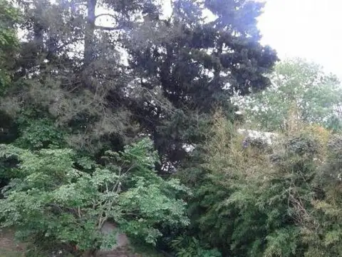 Casa en Venta al Noroeste