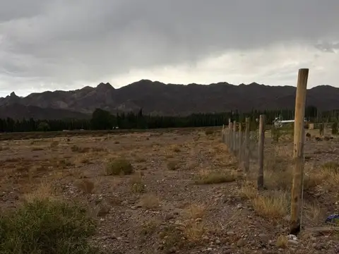 Terreno en Venta de 2000,0 m2