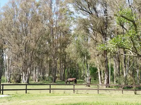 Terreno en Venta de 8402,0 m2