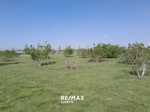 Terreno en Venta de 22676,0 m2