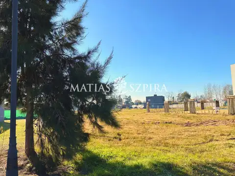 Carola Lorenzini 4600