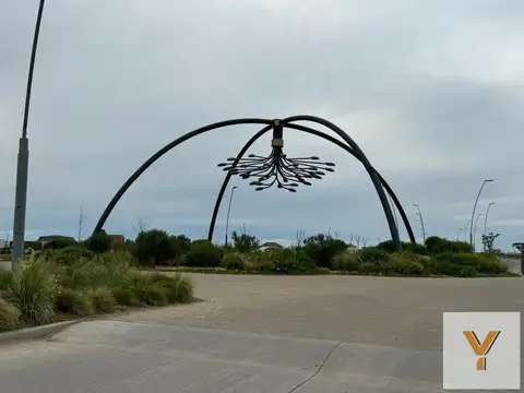 Araucarias - Puertos del Lago