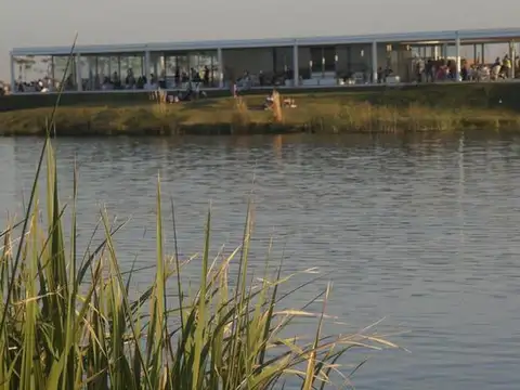 Araucarias - Puertos del Lago