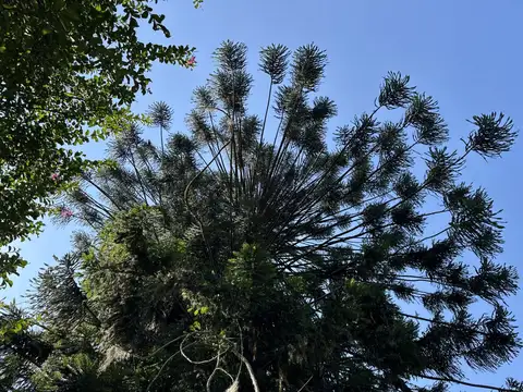 Espectacular casa en venta con arroyo Ingeniero Maschwitz