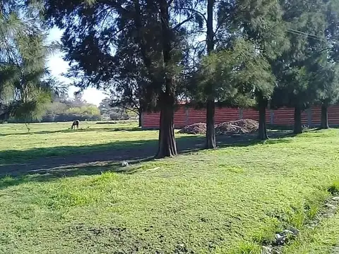 PITAGORAS & ECHEVERRIA