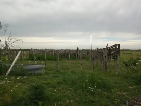 Colonia Nueva