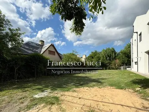 Almafuerte Lote / N° 3901