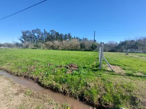 Terreno en Venta en Arturo Segui, USD 12.000