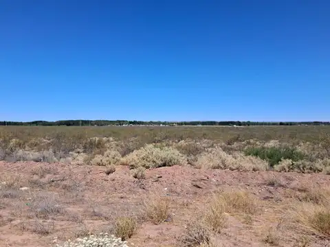 Terreno en Venta en Plottier, USD 185.400