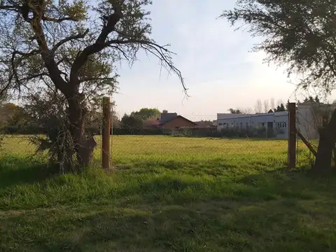 LOTE BARRIO VINELLI - EXCELENTE UBICACION - VISTA AL PARQUE - LOBOS