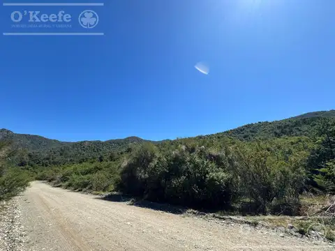 Terreno en Venta de 3891,0 m2