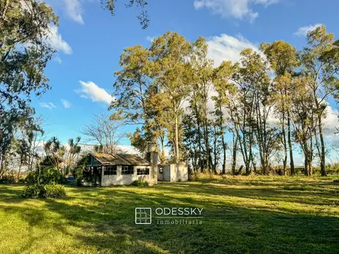 San Martin  y Dorrego 500