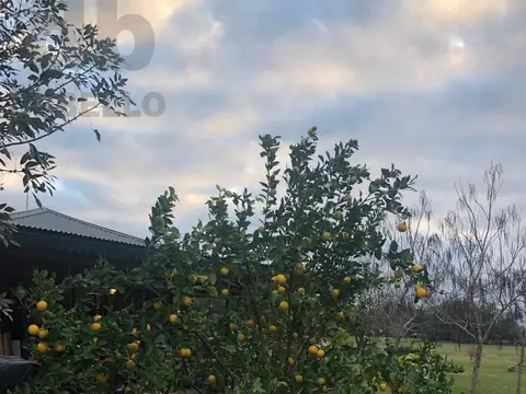 Chacras del Paraná 9