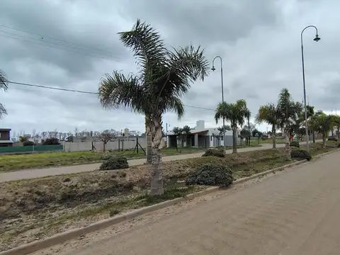 Terreno en venta Altos de la Colonia