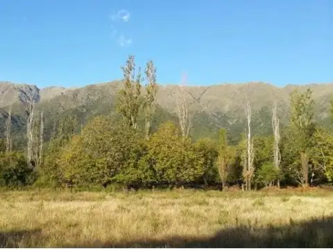 ALTO NOGAL CARPINTERIA SAN LUIS